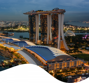 Singapore UniHawk